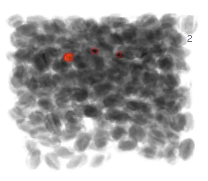 Traditional detection result 2